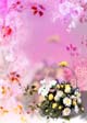 Spring: V10