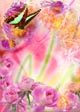 Spring: V18