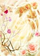 Spring: V19
